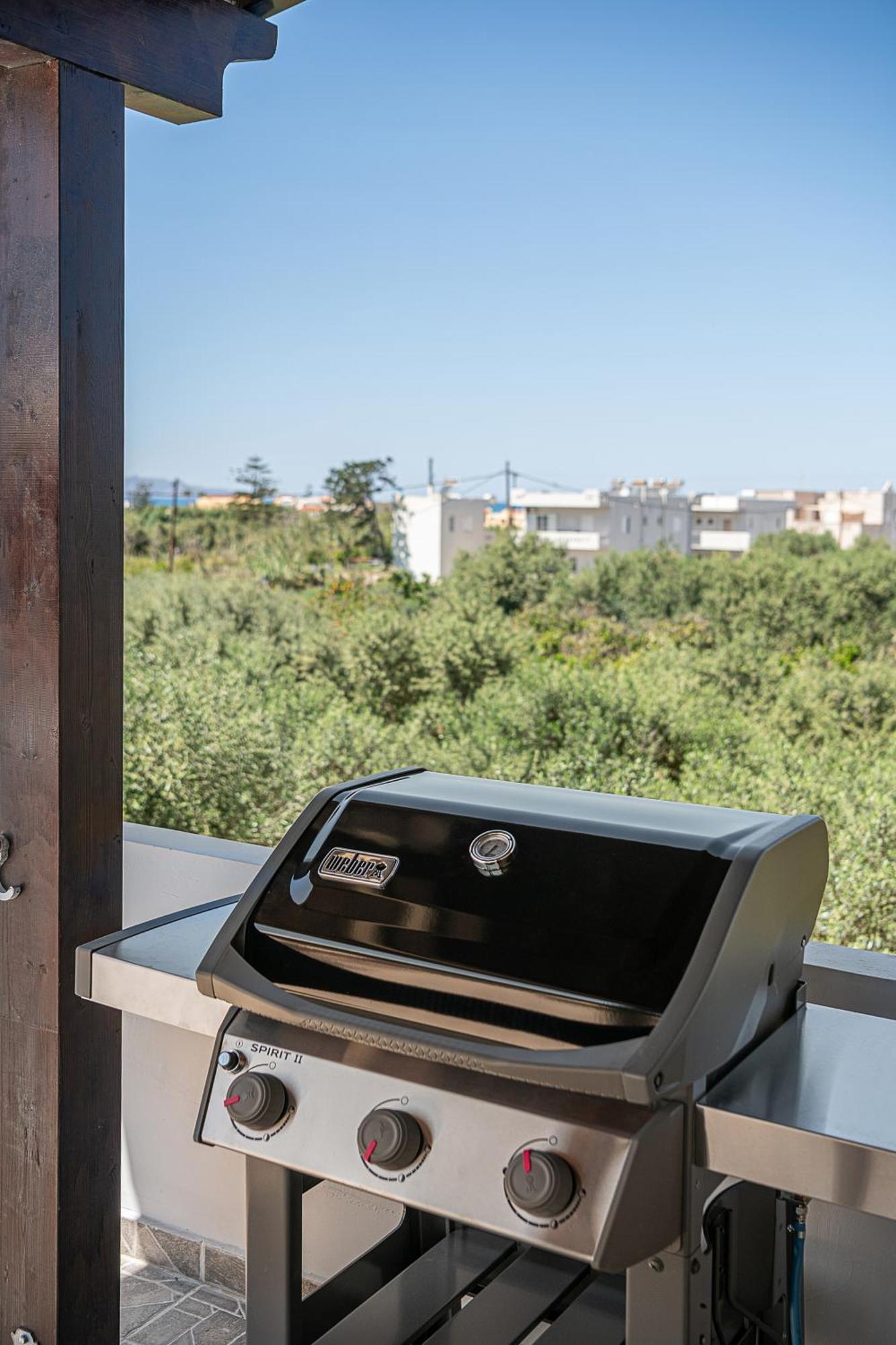 Sol Luxury Apartment - Close To The Beach With A Private Mini Pool Chania  Buitenkant foto